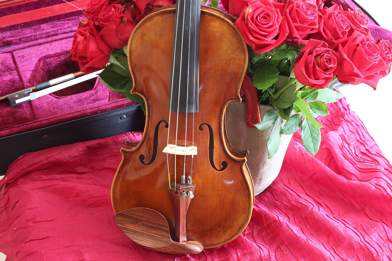 VIOLIN RED