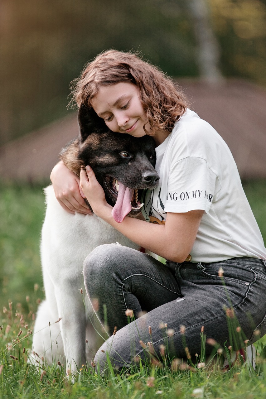 Dog -friendship