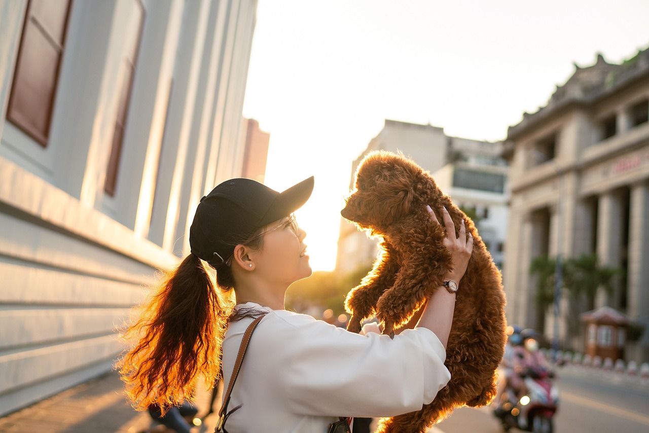 Friendship with dog